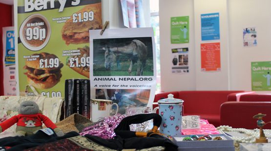 Stall selling reused items for animals in nepal.