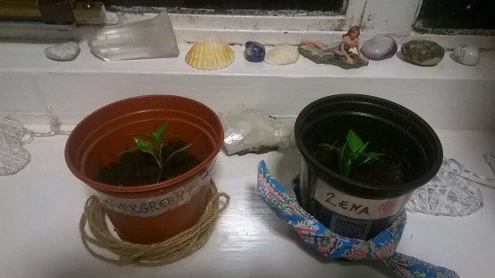 WP_20150316_18_48_31_Pro