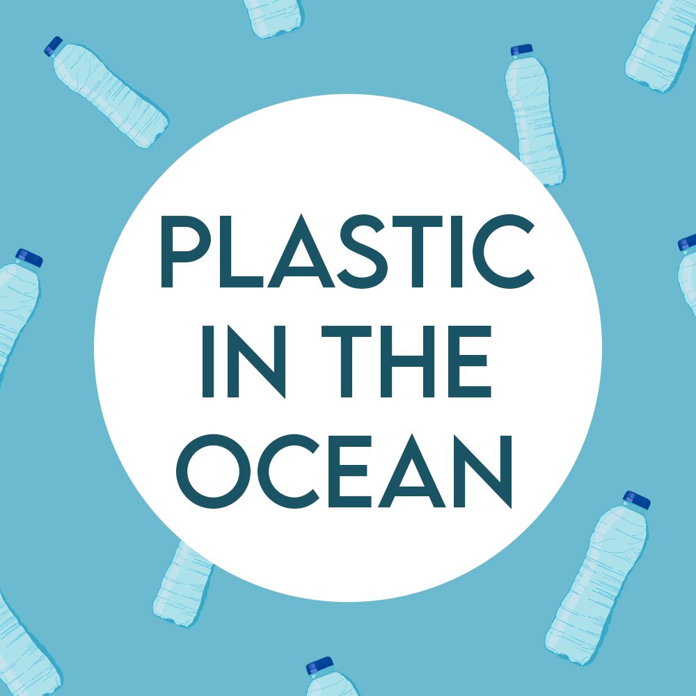 Living without plastic six easy ways to reduce your plastic waste