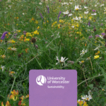 wildflower-photograph-by-dr-duncan-westbury