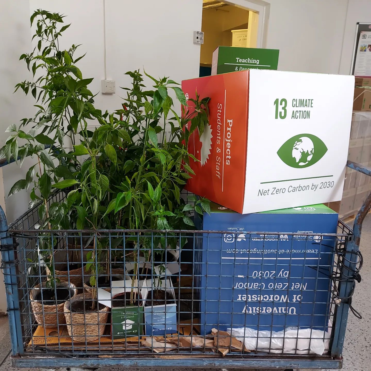 Trolley loaded....getting ready to set up for the #sustainability #greenimpact awards. Good luck everyone. @worcsu @uow_sustainability_network @uow_womensnetwork @worcesterunifood @worcester_uni . Can't wait for the special vegan moussaka lunch