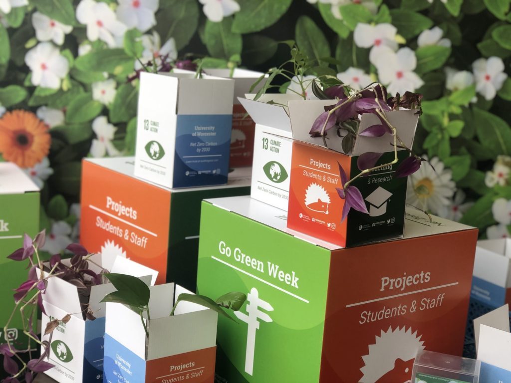 The image shows stacked cardboard boxes of varying sizes with different indoor plants in them, against a white and green floral background. The 4 sides of the boxes are white, orange, green and blue with text and graphics. 

