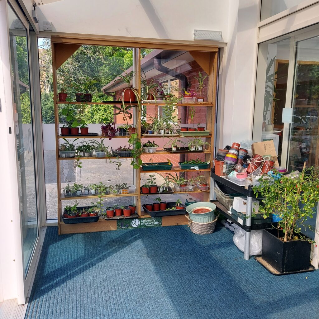 Photograph of the entrance lobby, full of plants