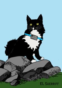 Illustration of Toby the campus cat wearing a wildlife webcam