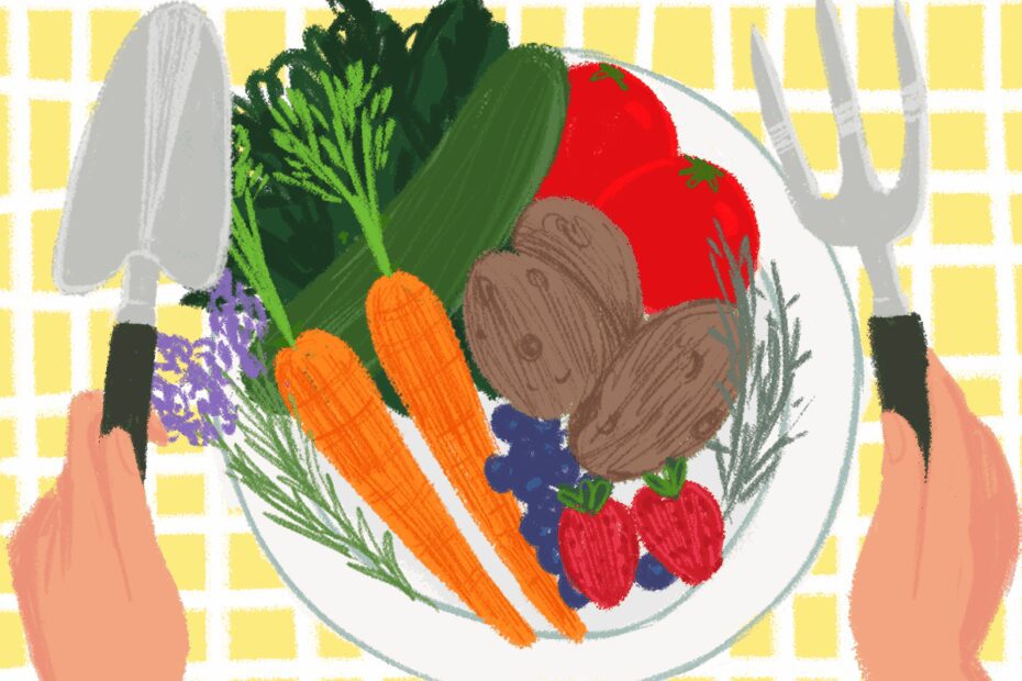 Growing your own food