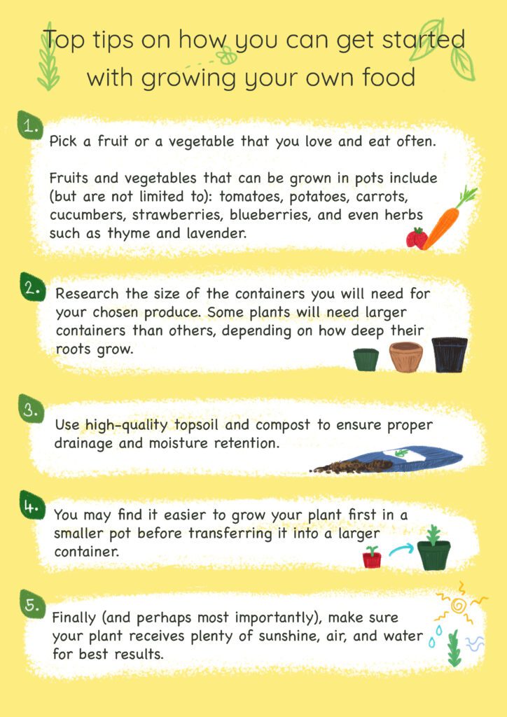 Infographic on how to grow your own food