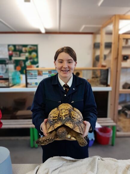 Pupil happily holding a rescued tortoise during an animal care lesson