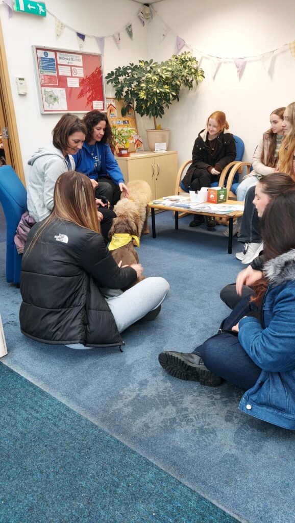 Therapy dogs