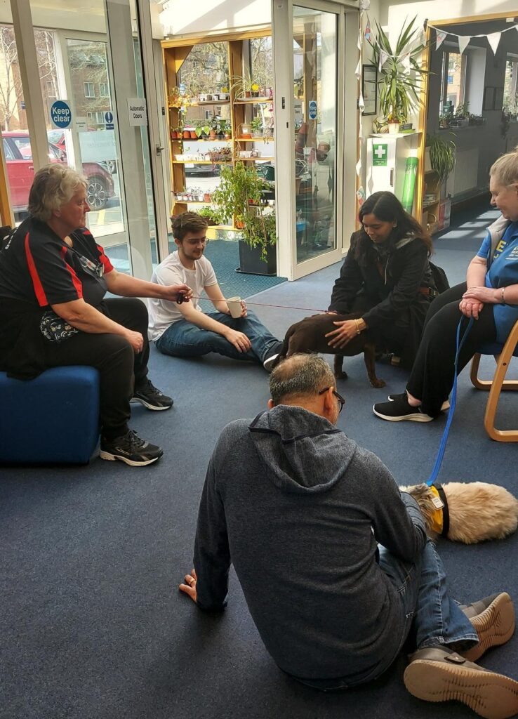 therapy dogs 2